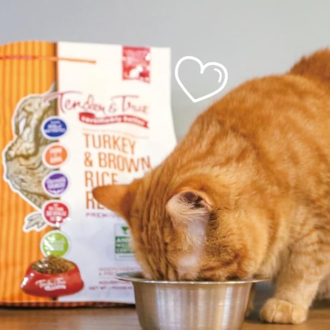 Tender & True Antibiotic-Free Turkey & Brown Rice Recipe Cat Food, 3 Pound(Pack of 1)