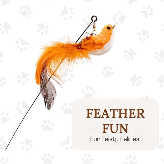 Cat Wand Toy Cat Toys for Bored Indoor Adult Cats Feather Cat Toy Wand 5 Pcs Natural Bird Feathers Stable Round Base Wand Cat Toys for Indoor Cats Hunting Toys for Cats