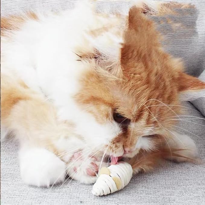 MEETCARE Cat Toy Interactive Toy Mouse Shaped Toy - (3 Pack),Small Breeds (Cat Scratch Paper)