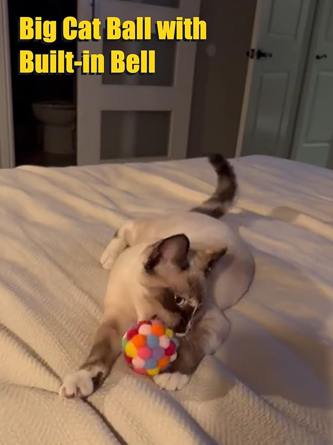 Interactive Cat Toys Variety Pack 20-Piece Cat Enrichment Toys for All Ages Spring Toys Bell Balls & Plush Toys to Stimulate Bored Indoor Cats