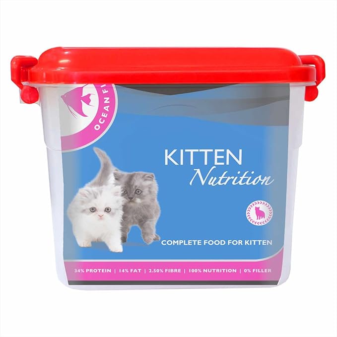 Drools Kitten Dry Cat Food, Ocean Fish Flavour 1.2Kg with Free Container Pack