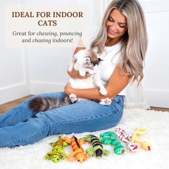 Cat Toys Catnip Toys for cats Cat Nip for Cats catnip toys for indoor cats Lizard Cat Toy Snake Cat Toy for Cats Interactive Cat Toy Cat Chew Toy Cat Chew Toys for indoor cats Kitty cat nip toys cat