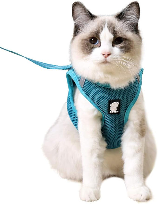 Heywean Cat Harness and Leash - Ultra Light Escape Proof Kitten Collar Cat Walking Jacket with Running Cushioning Soft and Comfortable Suitable for Puppies Rabbits (S, Turquoise)