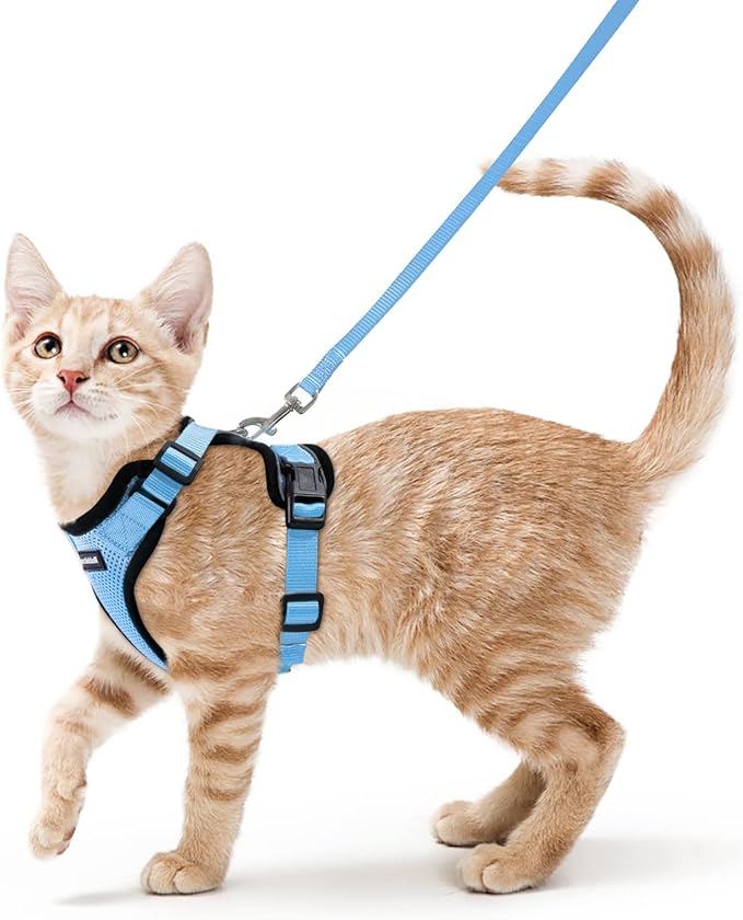 rabbitgoo Cat Harness and Leash for Walking, Escape Proof Soft Adjustable Vest Harnesses for Cats, Easy Control Breathable Reflective Strips Jacket, Light Blue, XS