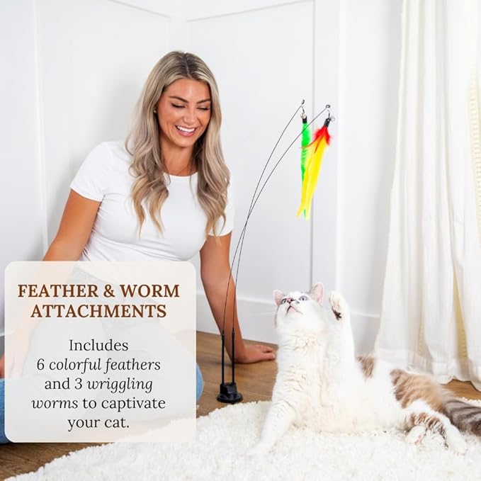 Interactive Cat Toy Feather Suction Cup Cat Toy Cats Toys Lizard Catnip Toys Cat Chew Toys Catnip Toy Cats Toys for Indoor Cats Cat Toys for Bored Indoor Adult Cats Self Play Cat Toys Cat Teaser