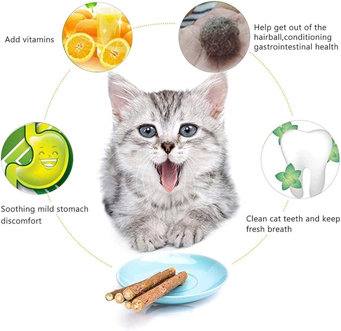 Silvervine Sticks for Cats, Natural Catnip Sticks Matatabi Chew Sticks Teeth Molar Chew Toys for Cat Kitten Kitty (at Least 12 PCS)