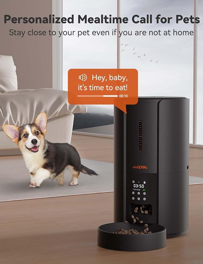 WOPET Automatic Cat Feeder,5L Automatic Cat Dry Food Dispenser,Timed Cat Feeder 6 Meals Daily with Portion Control,10s Voice Recording with Backup Power