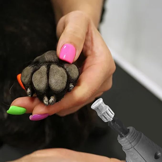 Diamond Nail Grinder for Dremel, Diamond Bits for Dogs, Dog Nail Grinder as Dremel Accessories, Dog Toenail Grinder for Animals Nail Care & Home Grinder Tools, FlahsC