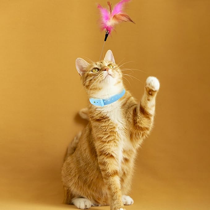 3PCS Cat Collar Teasing Wand, Cat Collar Toys, Silicone Adjustable Cat Feather Collar Toys with Bell Cat Interactive Teaser Toys for Indoor Cat Kittens Playing Exercise