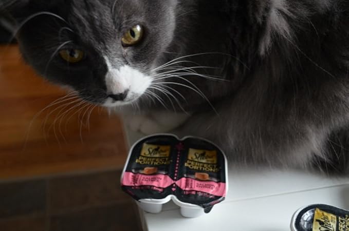 Sheba Perfect Portions Multipack Salmon and Whitefish & Tuna Entrée Wet Cat Food Corn Soy Wheat Free (12 Twin Packs), 1.98 Pounds