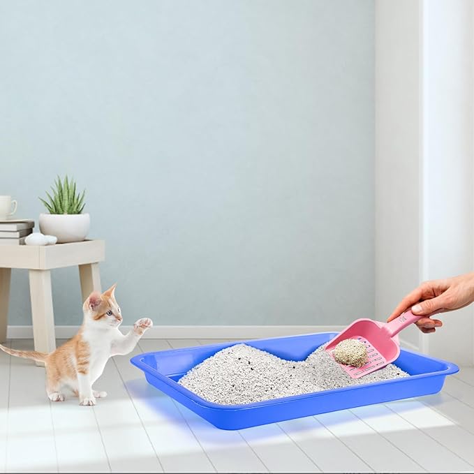 Hiceeden 6 Pcs Open Kitten Litter Box, 15.3 x 12 x 1.4 Inch Plstic Small Cat Litter Tray, Low Entry Travel Toilet Litter Pan for Rabbit, Kitty, Bunny, Guinea Pig, Multi Color