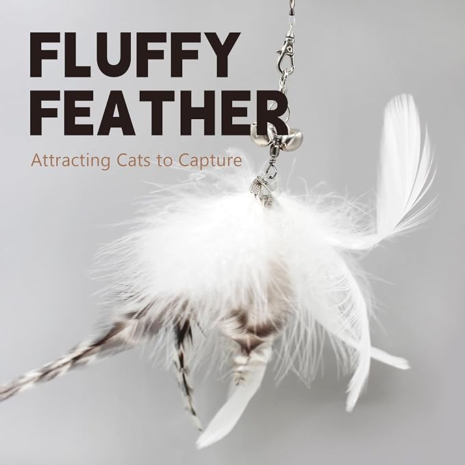 SONGWAY Cat Wand Toys for Indoor Cats - Cat Feather Toys with Retractable Cat Stick and 6 PCS Fairy Cat Teaser Toy Refills, Butterfly Tassel Plush Cat Toys Interactive, Black