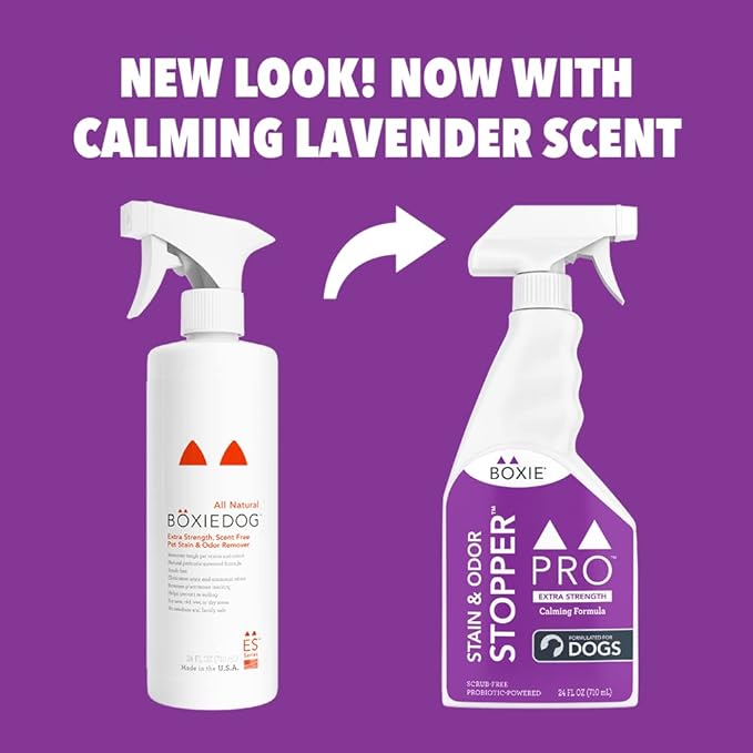 Boxie® Pro™Probiotic Calming Lavender Stain & Odor Stopper™ for Dogs, 24 oz Boxiecat