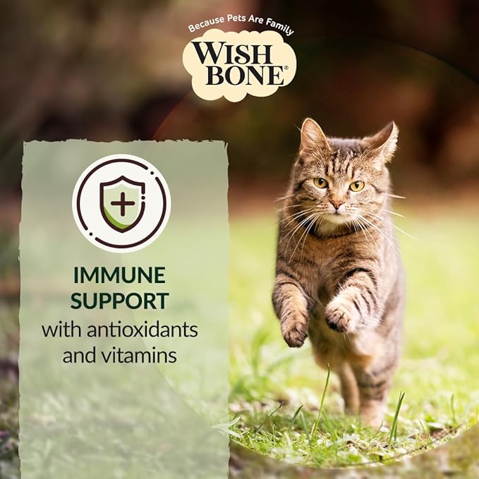 Wishbone Pasture New Zealand Lamb, Gluten Free, Grain Free Dry Cat Food, Premium Lamb Recipe Cat Food for Overall Pet Health - 4 lb