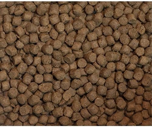 Wysong Nurture Kitten Formula Dry Kitten Food - 5 Pound Bag