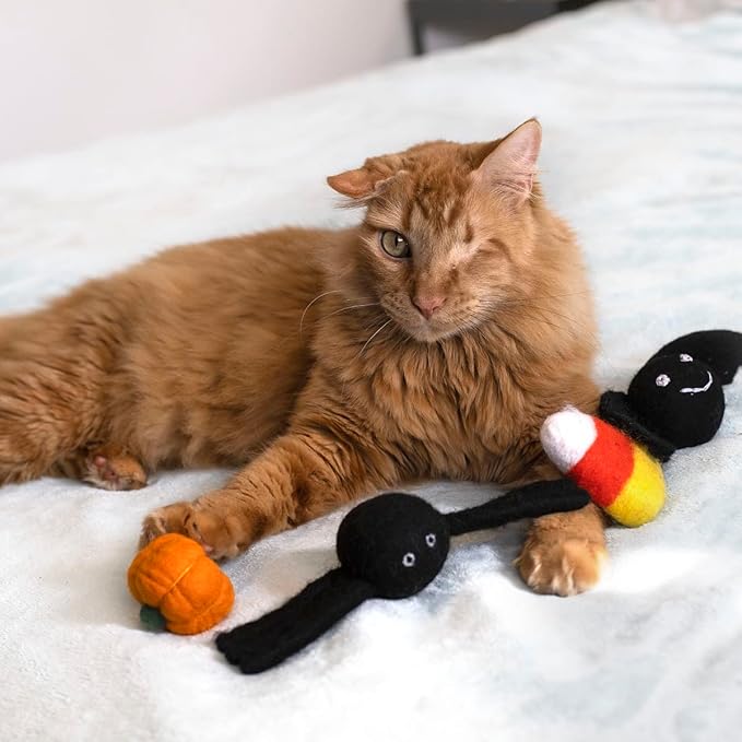 Midlee Halloween Felt Cat Toys Set- Bat, Pumpkin, Spider, Candy Corn