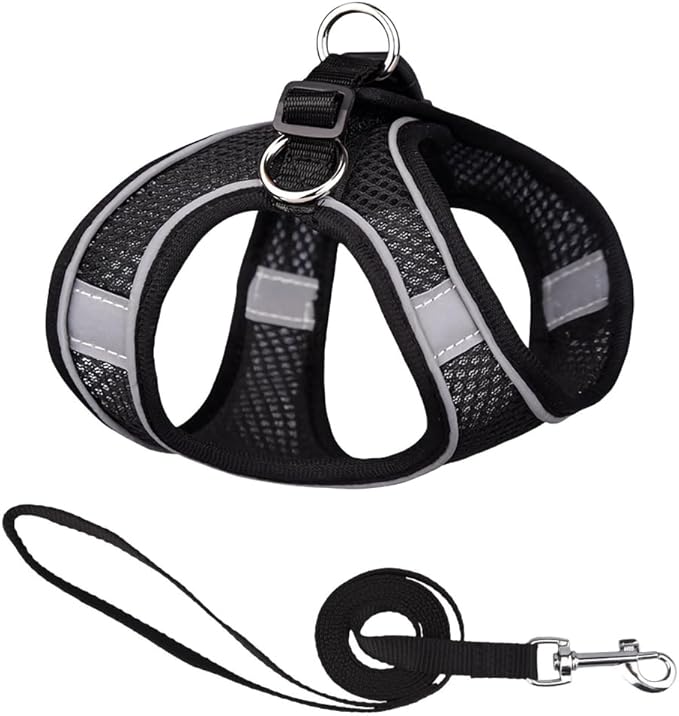 Cat and Small-Medium Dog Harness, No-Pull Pet Vest with Leash for Walking, Puppy Harness Set, Step-in Dog Harness for Small Breeds, Adjustable Mesh Harness