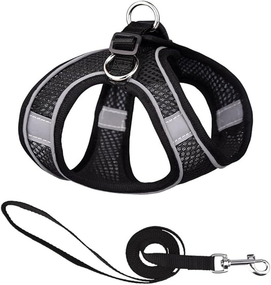 Cat and Small-Medium Dog Harness, No-Pull Pet Vest with Leash for Walking, Puppy Harness Set, Step-in Dog Harness for Small Breeds, Adjustable Mesh Harness