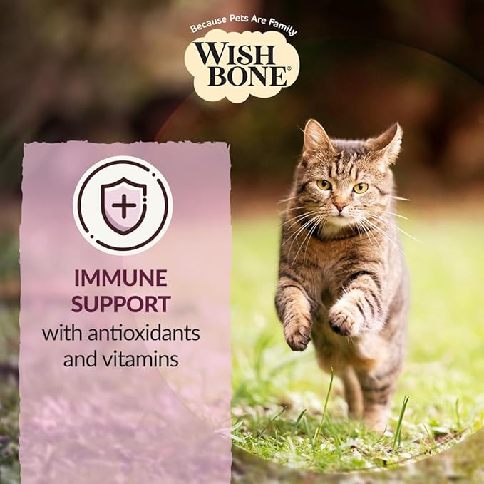 Wishbone Graze New Zealand Beef and Lamb, Gluten Free, Grain Free Dry Cat Food, Premium Beef and Lamb Recipe Cat Food for Overall Pet Health - 4 lb