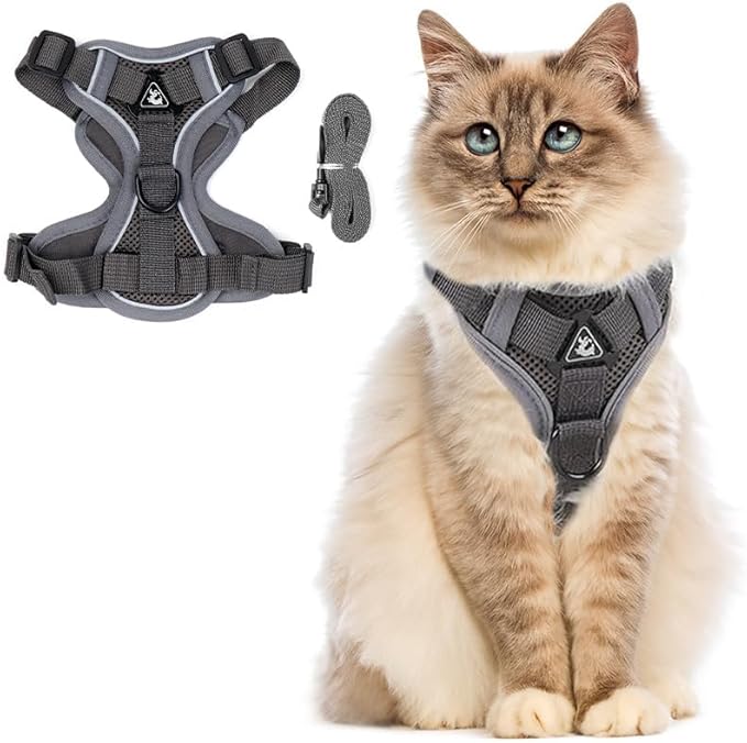 PetnBeyond Kitten Harness and Leash Set - Secure, Comfortable Control with Breathable Mesh Jacket - Adjustable Vest for Safe Walks with Reflective Strips - Kitty Escape Proof Kit (Medium, Grey)