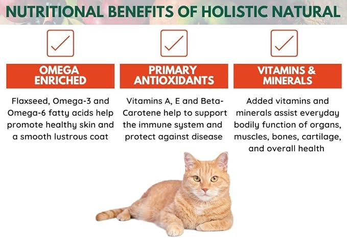 Bench & Field Holistic Natural Premium Adult Dry Cat Food, Chicken Meal and Brown Rice Recipe 3 lb Bags (Pack of 3)