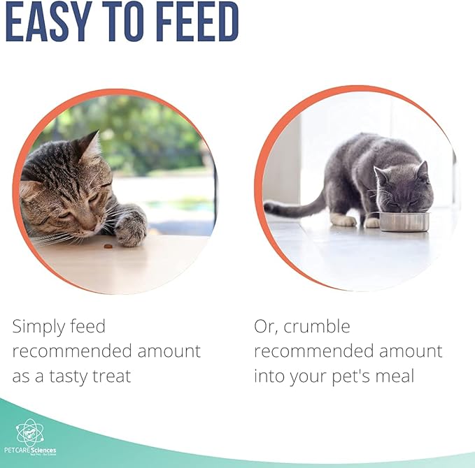 Approx 90 Servings Cat Kidney Support Chews - Feline Kidney Restore - Renal Cat Treats - Cats Kidney Support Supplement - Urinary Tract Irritations Control for Cat - Made in The USA