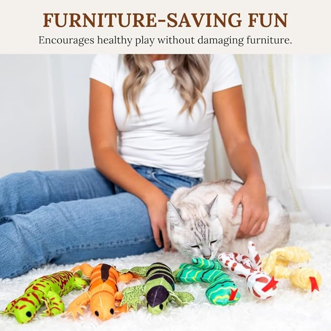 Cat Toys Catnip Toys for cats Cat Nip for Cats catnip toys for indoor cats Lizard Cat Toy Snake Cat Toy for Cats Interactive Cat Toy Cat Chew Toy Cat Chew Toys for indoor cats Kitty cat nip toys cat