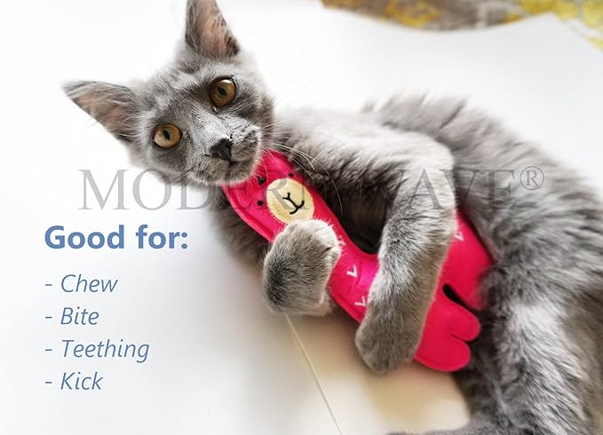 MODERN WAVE - Catnip Handmade Kittens Cats Toys Collection in Gift 4-Pack Box (Felted Fish, Lama, Knitted Mouse with Bell, Cat Heart Teaser)