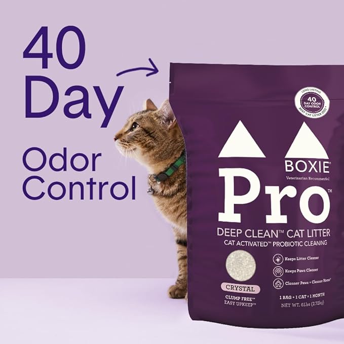 Boxie® Pro™ Probiotic 40 Day Odor Control Non-Clumping Cat Litter, 18lb Boxiecat Crystal Kitty Litter (3 Pack of 6lb Bags)