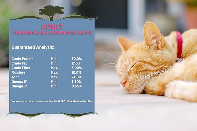 Blackwood Pet Cat Food Made In USA [Super Premium Dry Cat Food For Adult, Indoor, and Senior Cats], Chicken Meal and Brown Rice Recipe