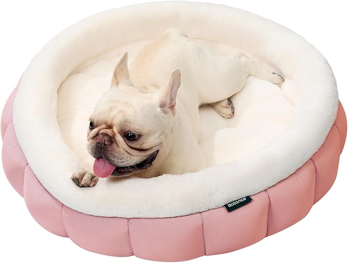 BALANCE Round Cat Beds for Indoor Cats - Donut Dog Bed for Medium Dogs, Washable Medium Pet Bed, Round Fluffy Plush Faux Fur Cat Bed with Anti-Slip Bottom