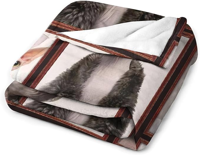 Hairless Cat Blanket Hairless Cat Gifts for Girls Boys Woman Kids Hairless Cat Lover Throw Blankets Soft Blanket Warm Fleece Flannel Plush Blankets for Bed Sofa Couch 60"x80"
