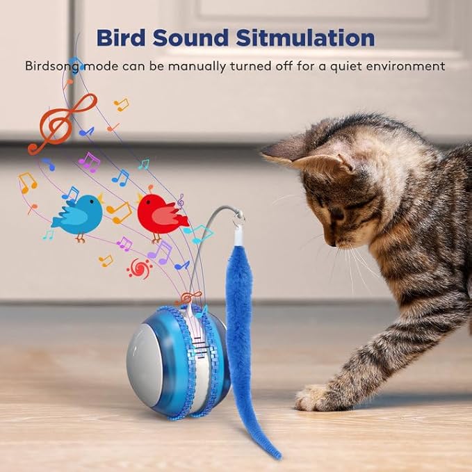 Cat Toys for Indoor Cats, Innovative Interactive Cat Toy Ball with Bird Chirping, USB Rechargeable Automatic Exercise Rolling Cat Toy for Bored Indoor Adult Cats Kittens, Blue/White