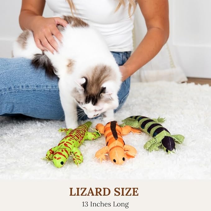 Cat Toys Catnip Toys for cats Cat Nip for Cats catnip toys for indoor cats Lizard Cat Toy Snake Cat Toy for Cats Interactive Cat Toy Cat Chew Toy Cat Chew Toys for indoor cats Kitty cat nip toys cat