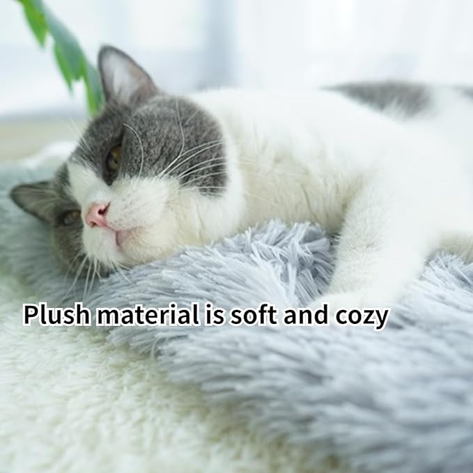 Cat Beds Small Dog Bed, Self Warming Cat Dog Mat Washable Warm Fluffy Pet Pad Calming Cushion Soft Kitty Bed for Indoor Outdoor Crate Pets Cat Small Dog Sleeping (White)