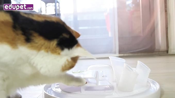 Cat-Center - 7-in-1 Pet Activity Center, Cat Toy Game, Educate & Entertain Your Pet, Durable & Dishwasher Safe, Multi Play Toy