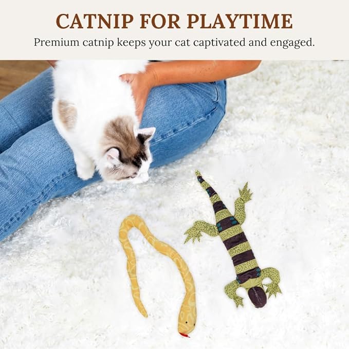 Cat Toy Set Cat Toy Bundle Snake Lizard Catnip Cat Nip Chew Toy Cat Self Play Toys For Cats To Play Alone Cat Wand Attachment Toys Interactive Cat Toys Suction Cup Cat Toy Feather Wand Suction Cup