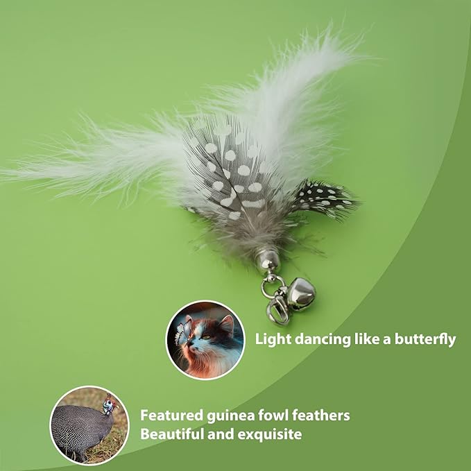 Limited Quantity Classic Set - Cat Wand Feather Toys Set and Cat Chew Toy and Cat Ball Toy and Pet Comb