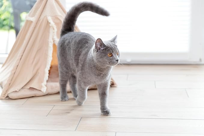 TRIXIE Boho Tipi, Cat Cave, Cat Condo, Cat Bed Tent, Cat Retreat with Reversible Cushion