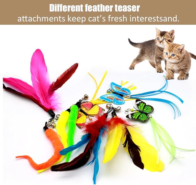 Cat Wand Toy, Interactive Cat Toys with 2 Poles & 9 Attachments Worm Feathers, Cat Feather Toy for Kitten Cat for Indoor Cats