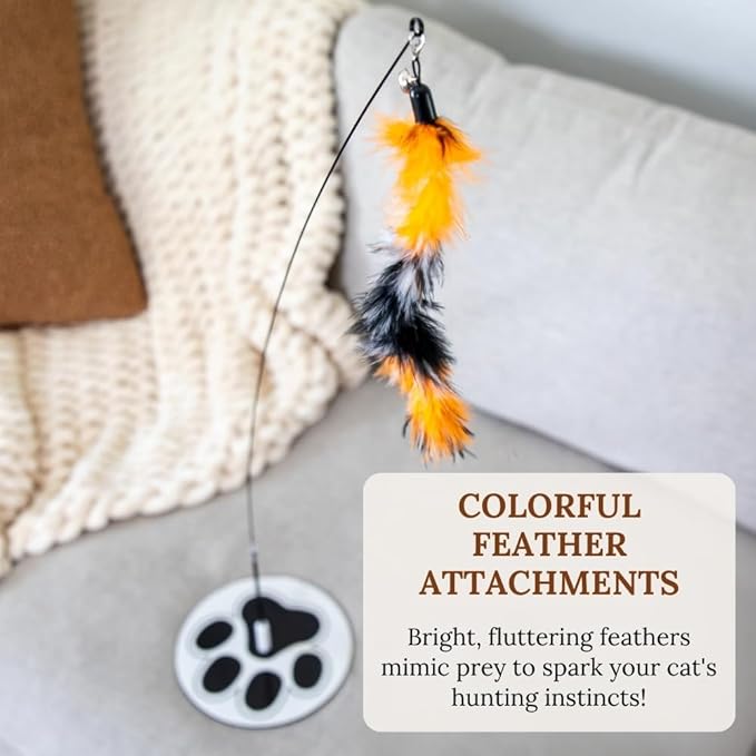 Multisurface Round Base Cat Wand Toy Glow in the Dark Octopus Attachments Cat Toy Feather Wand Suction Cup Feather Cat Toy Cat Toy Interactive Toys Cat Toys Cat Wand Toys for Cats Indoor Kitten Toy