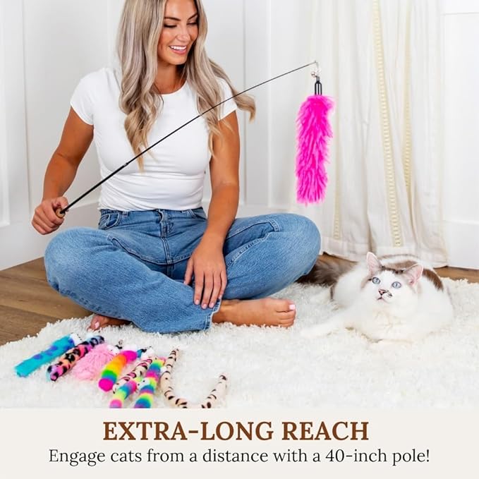 Cat Toy Wand Cat Toys Set Cat Fishing Pole Toy Retractable Interactive Kitten Toys Fishing Rod Cat Toy Cat Teaser Wand Cat Wand Toys For Incdoor Cats Cat Worm toy Fuzzy Worm Kitten Toys Interactive