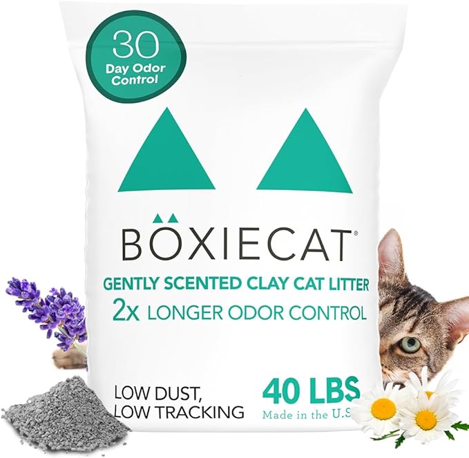 Boxie® Gently Scented 30 Day Natural Odor Control Cat Litter, 40lb Clumping Clay Kitty Litter