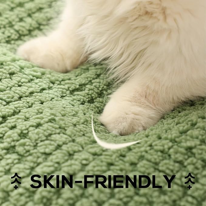 Cat Bed Ultra-Soft 2-in-1 Plush Cat Bed Indoor Cat House Bed Pad with Removable Cushion - Relieves Muscle, Joint Pressure for Ultimate Pet Comfort, Anti-Slip Design, Washable (Small)