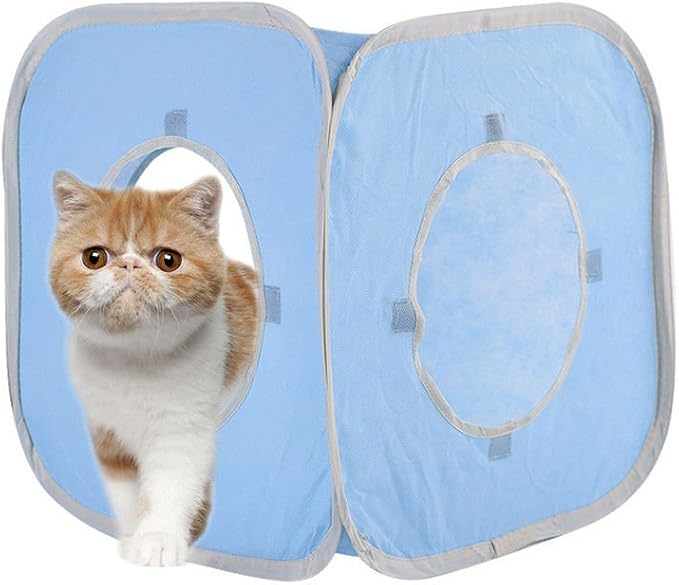 Citmage Cat Cube Pop Up Non-Woven Fabric Play Tent Toy with Hook and Loop,3 Peek Holes Collapsible,Lightweight,Provide Exercise Game for Cats,Kitties,Puppies (Blue)