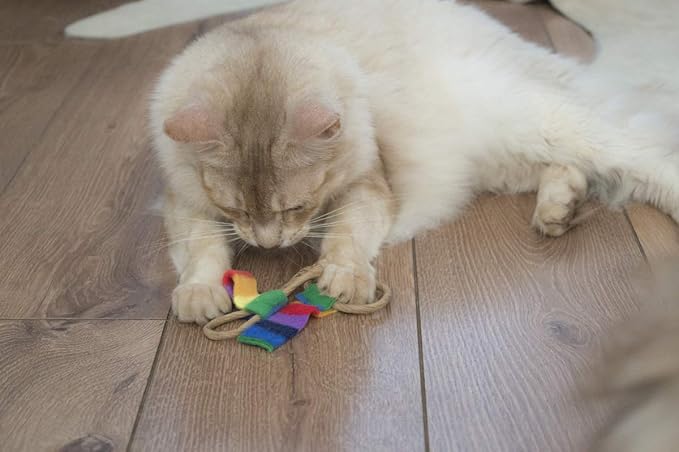 CAT DANCER Products Cat Chaser with Colorful Fleece, Interective Toy for Exercise (Pack of 6), 4 x 1.5 x 1 inches