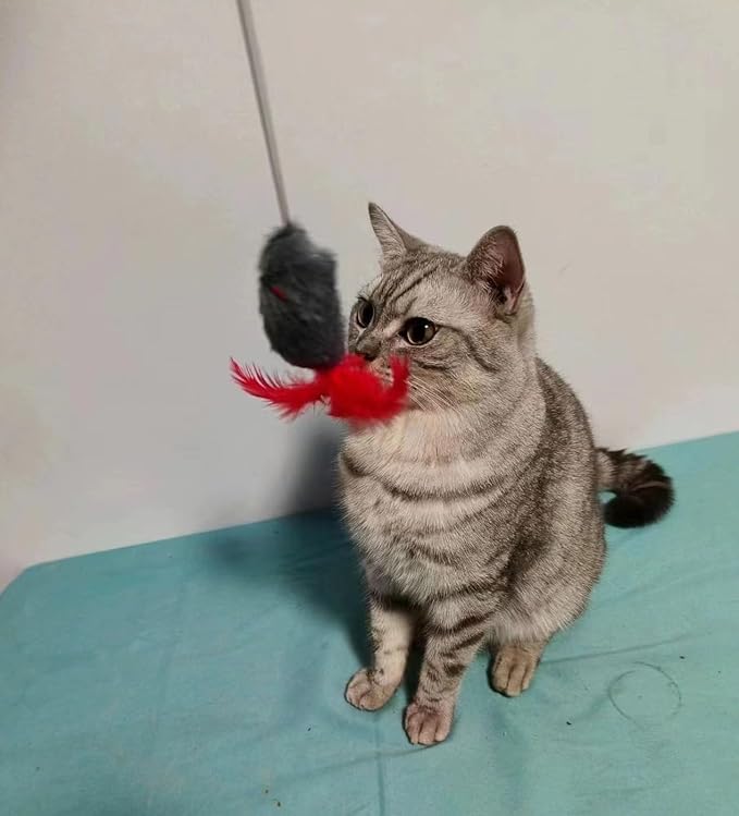 Interactive Cat Toys Hanging Cat Toys for Indoor Cats Kitten Play Chase Exercise with Bell, New Spiral Clamping Teasing Cats Toys for Door Frame (Grey+White)