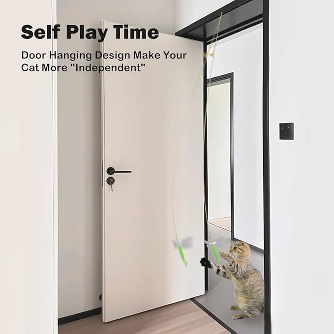 NUMINA 5 Pack Hanging Interactive Cat Feather Toys, Retractable Teaser Toy for Cat Kitten Play Chase Exercise, Interactive Cat Toys for Indoor Cats, Kitten Mental Exercise Hanging Cat Toy with Bel