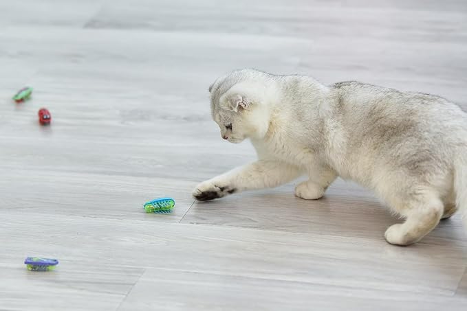 Cat Toys Teaser Interactive，Mini Electronic Robot Beetle Funny cat Toy, Cat Bug Educational Toy for Indoor Cats Kitten Play Chase Exercise，2pcs (Beetle+Mouse)