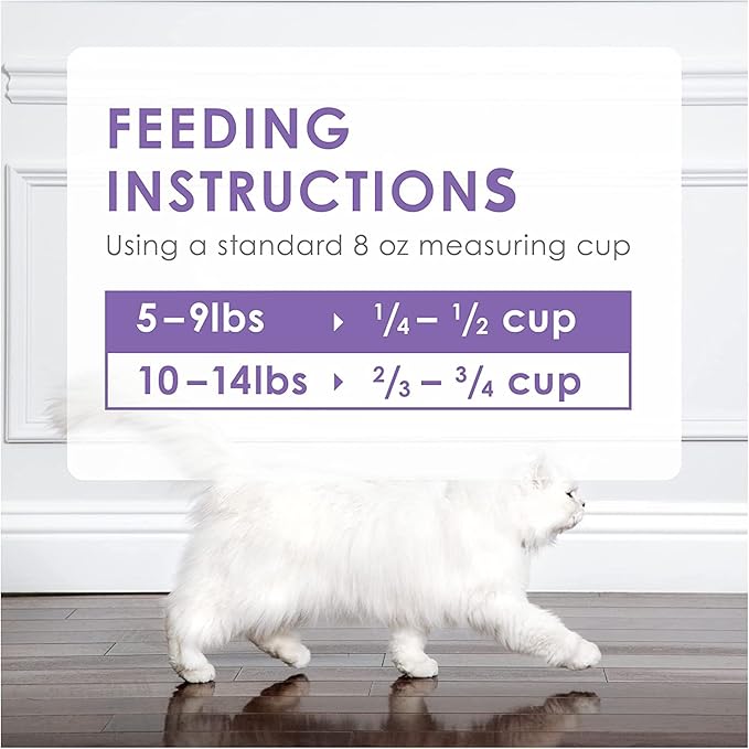 Aurora Pet Bundle Pack (4) FF Gourmet Dry Cat Food with Savory Chicken and Turkey (16 oz. Bags) Plus AuroraPet Wipes